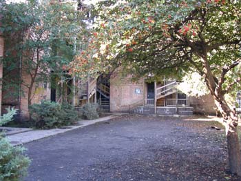 Rear Courtyard 2
